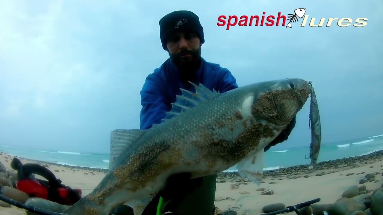Robalos na Praia Spinning🎣 Costa Alentejana Portugal 🌊 SpanishLures 🖤❤2022