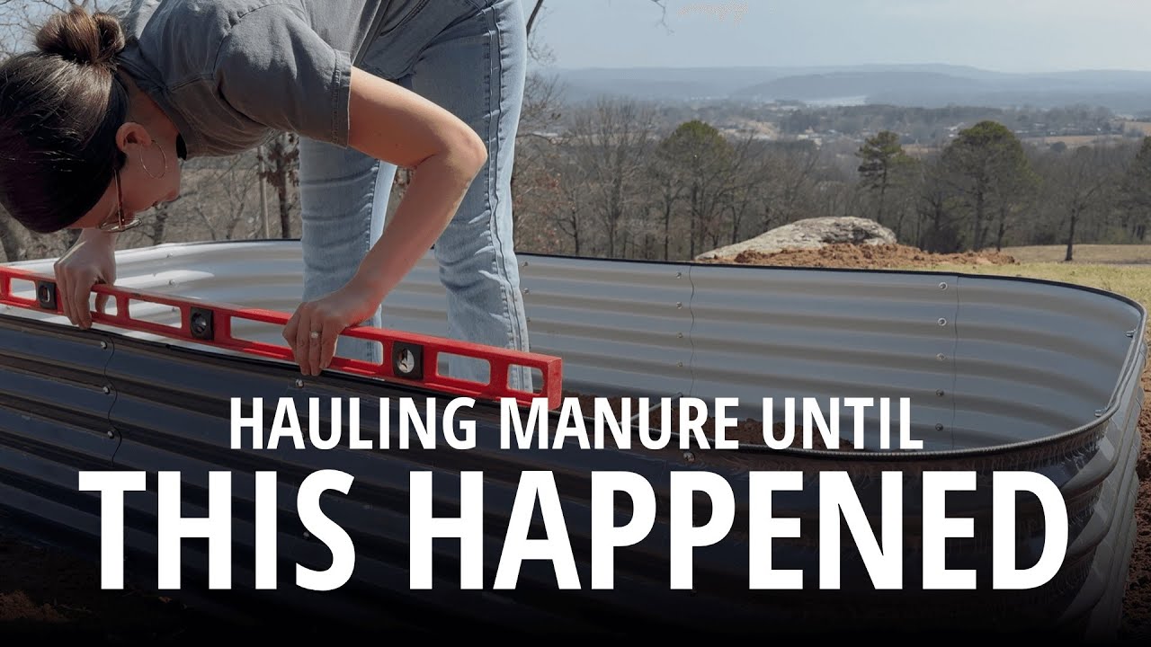 FILLING OUR RAISED BEDS & FAILING TO GET MANURE