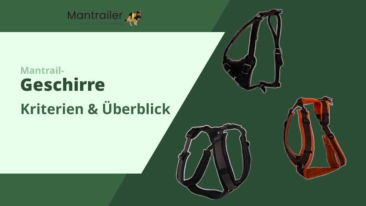 Mantrailing Geschirr – Meine Kriterien & Überblick (keine Werbung)