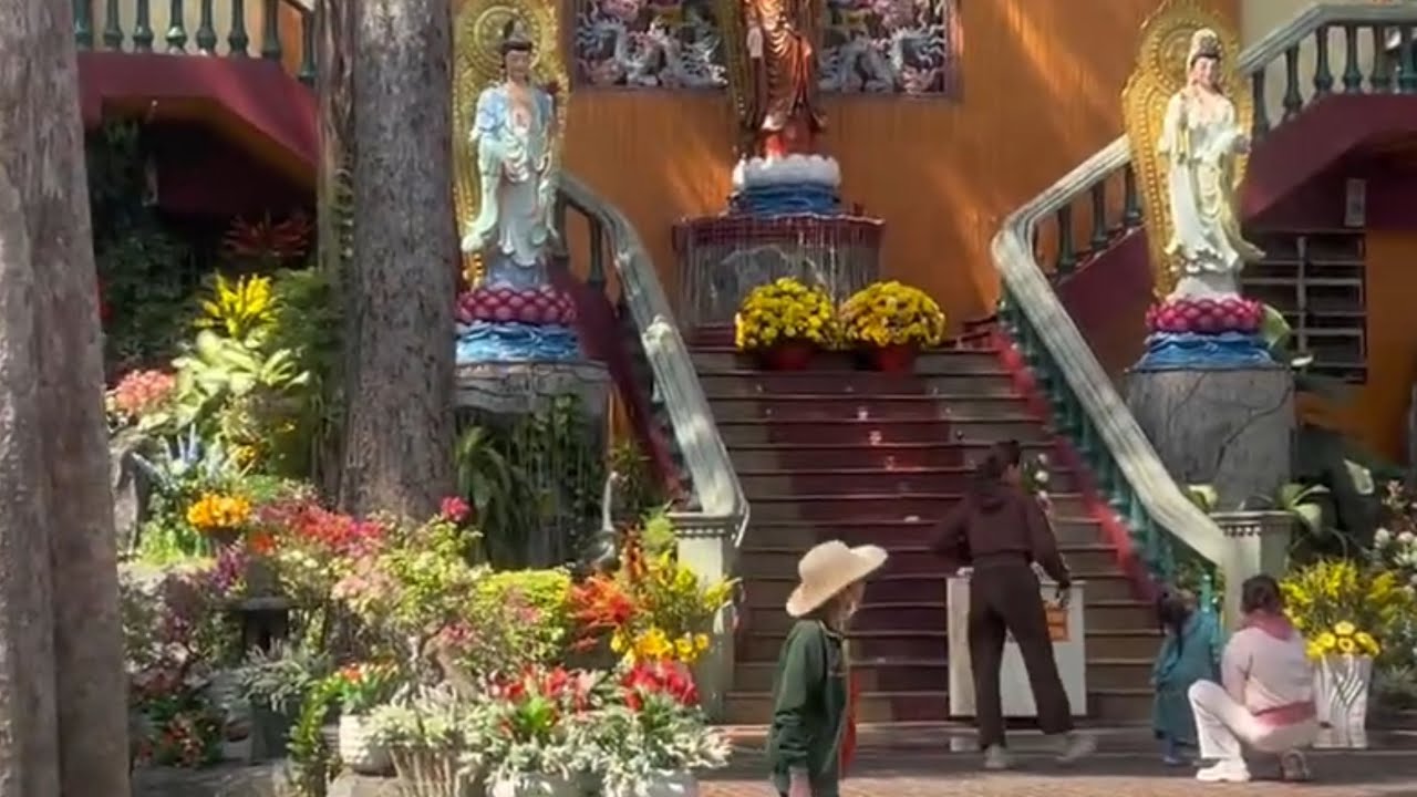 Bữa nay đua vo đi Chua ở Bình dương 