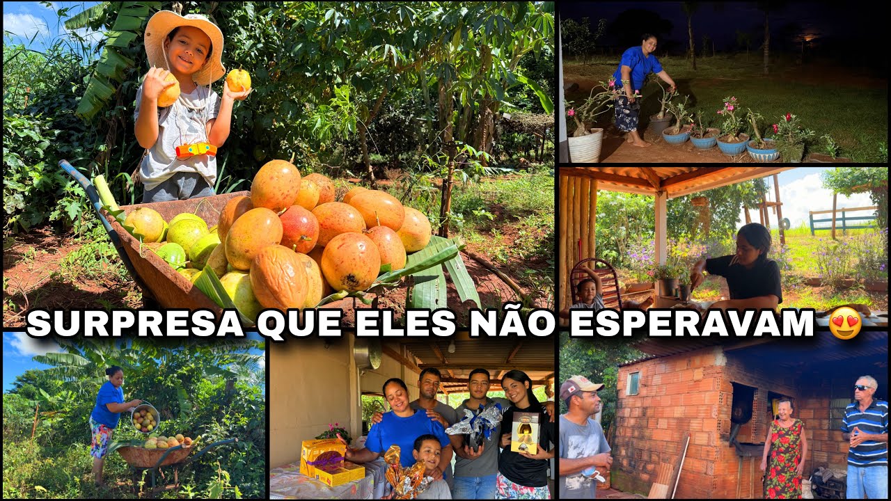 RESOLVEMOS PRESENTEAR TODO MUNDO| POR ESSA SURPRESA ELES N&Atilde;O ESPERAVAM-FOI PRECISO AJUDAR O VIZINHO&hellip;