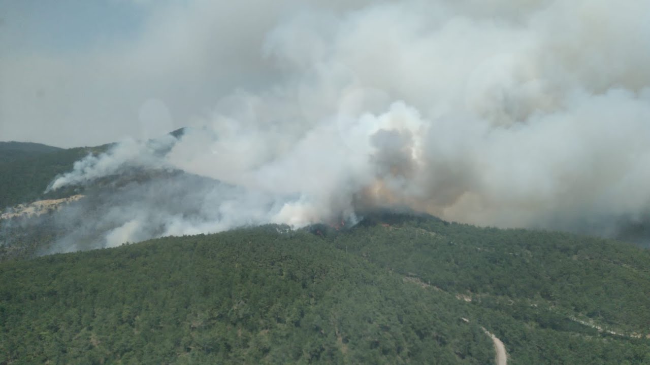 BURSA ORHANELİ’DE 100 HEKTARLIK ÇAM ORMANLIĞI YANDI