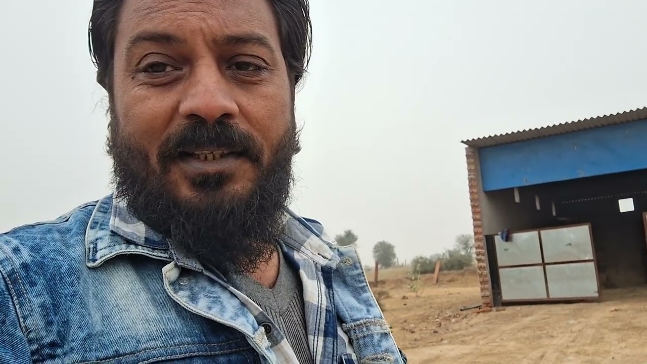 BAKRI KE CHARA KA GODOWN  