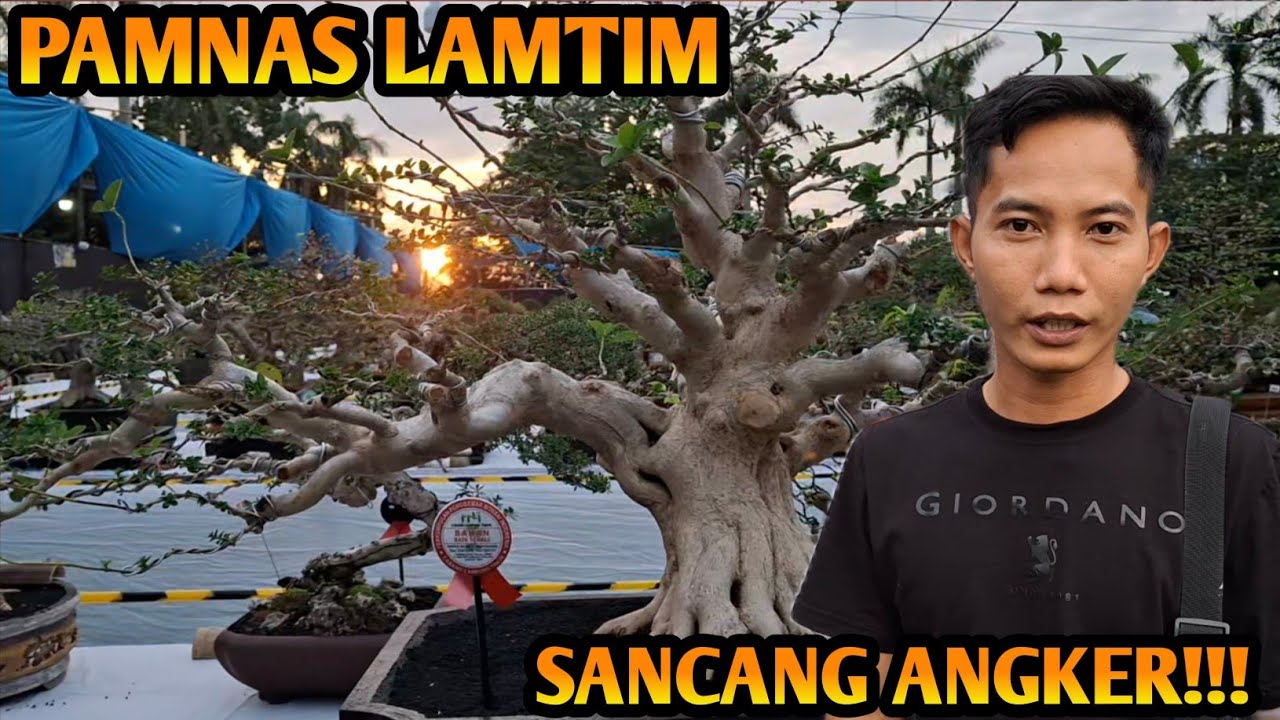 🌿 “Keindahan dalam Keangkeran – Sancang Angker Pamnas Lampung Timur 2025”