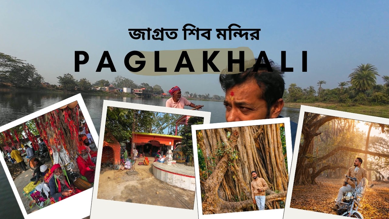 নদীয়ার পাগলাখালি জাগ্রত শিব মন্দির | পাগলা বাবার অলৌকিক কাহিনি ও বন বিবিতলার বিশাল বটগাছ