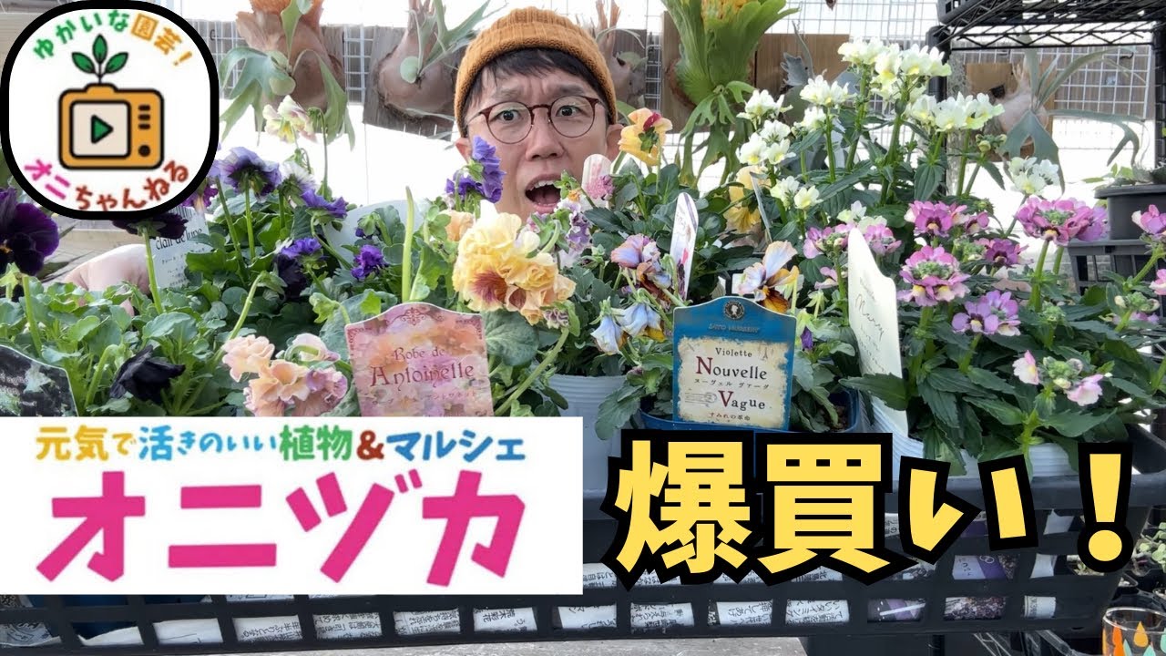 【オニちゃんねる】エコマルシェオニヅカがすごすぎた！ビオラ天国！@oniduka