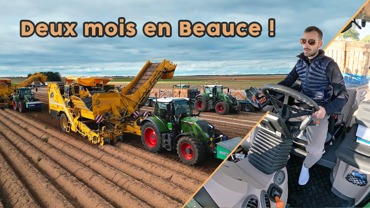 Deux mois en Beauce  // Potatoes Harvest !! [2023] 🥔😮‍💨