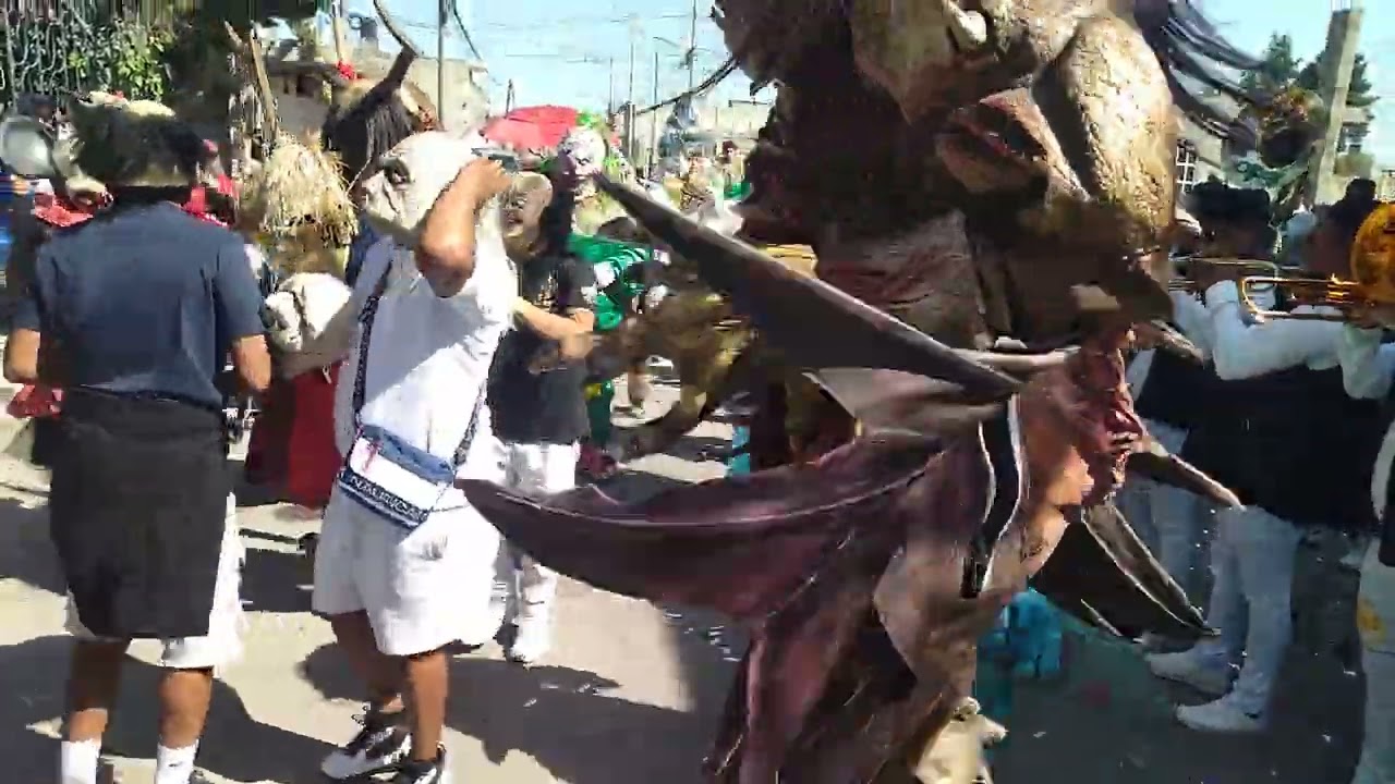 Carnaval Santa Rosa,San Andrés Cuexcontitlan, Toluca,Edo,Mex.(1)