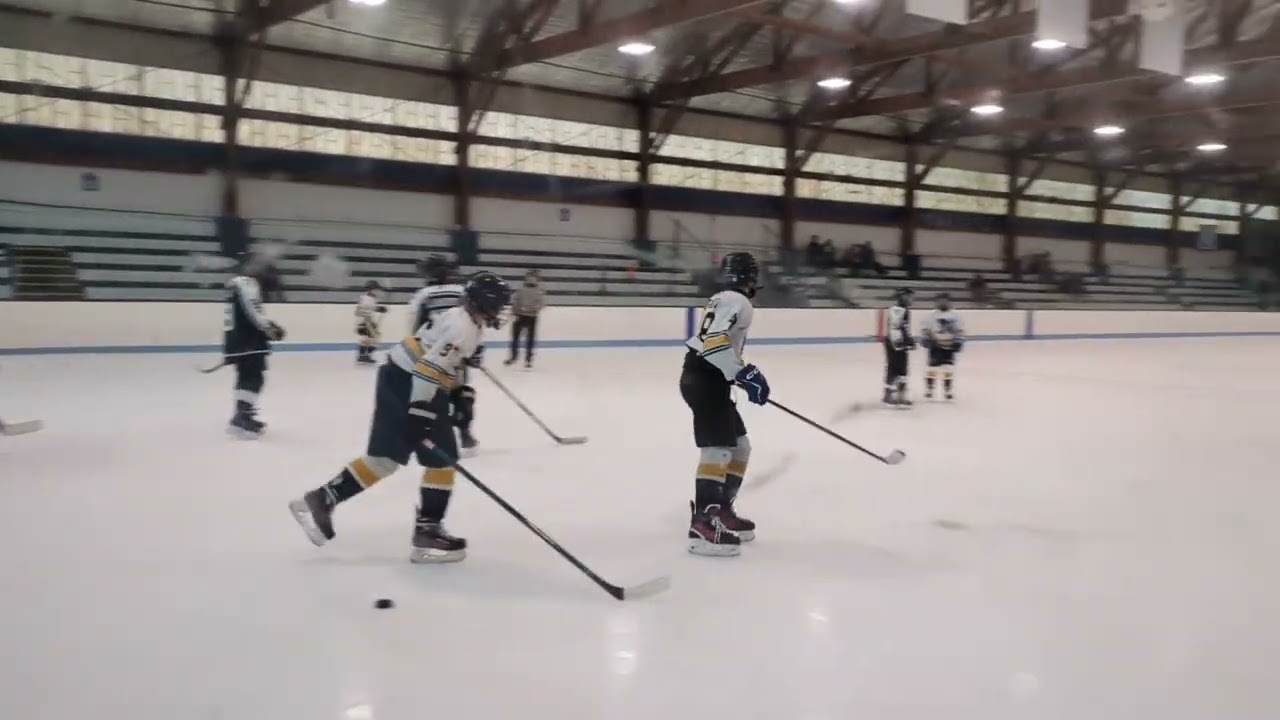 hockey Feb 22 2026   4