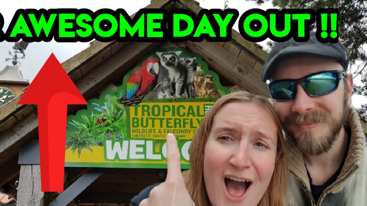 TROPICAL BUTTERFLY HOUSE ,REVIEW(ANSTON)