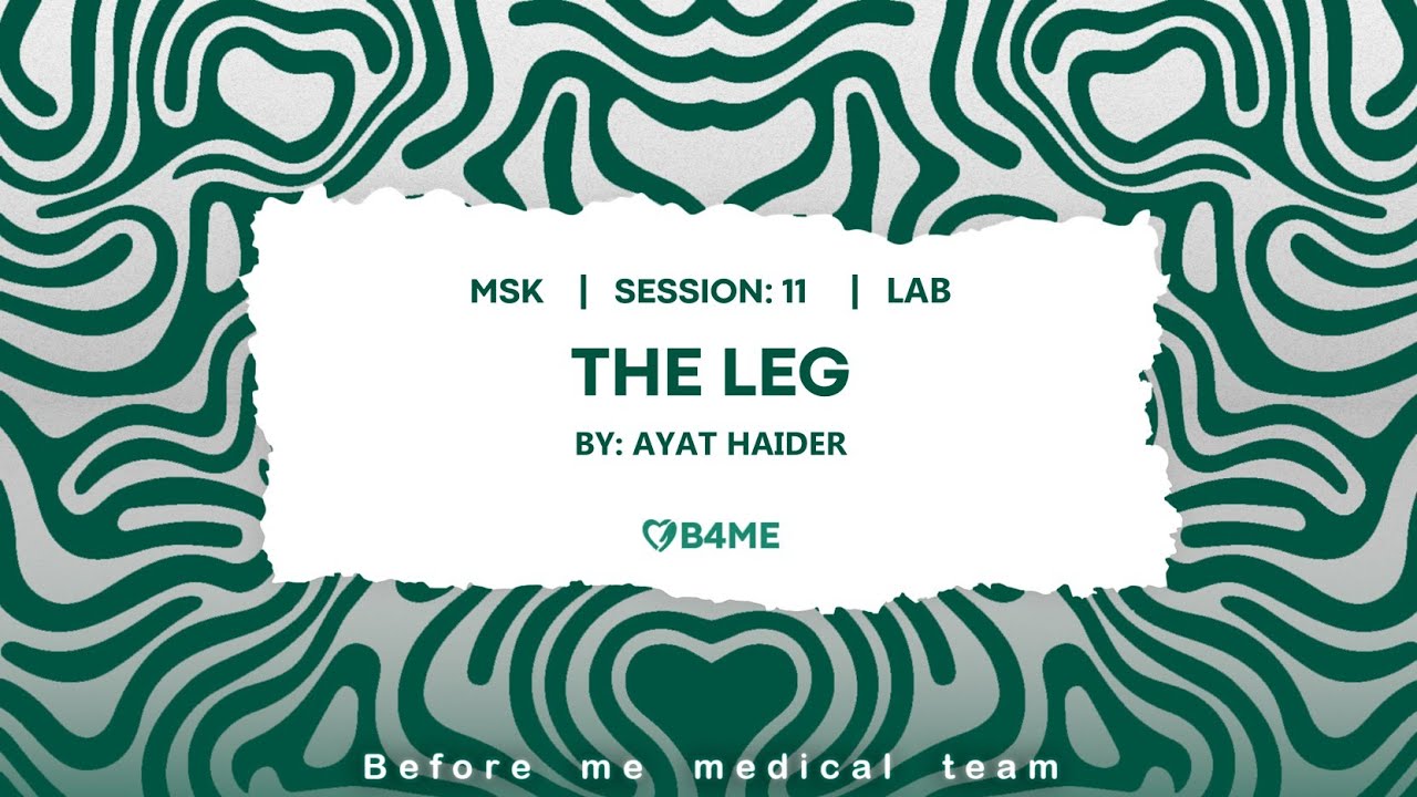 MSK l Leg