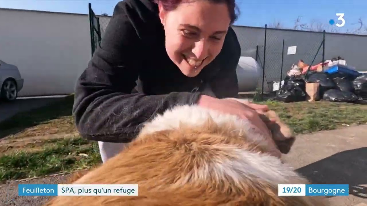 Dans les coulisses du refuge SPA des Cailloux de Dijon (1/4)