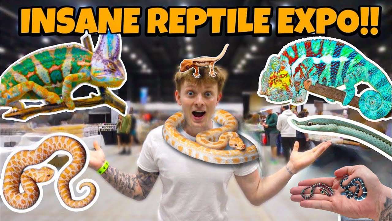 I GOT 4 NEW ANIMALS At THIS EXPO!!