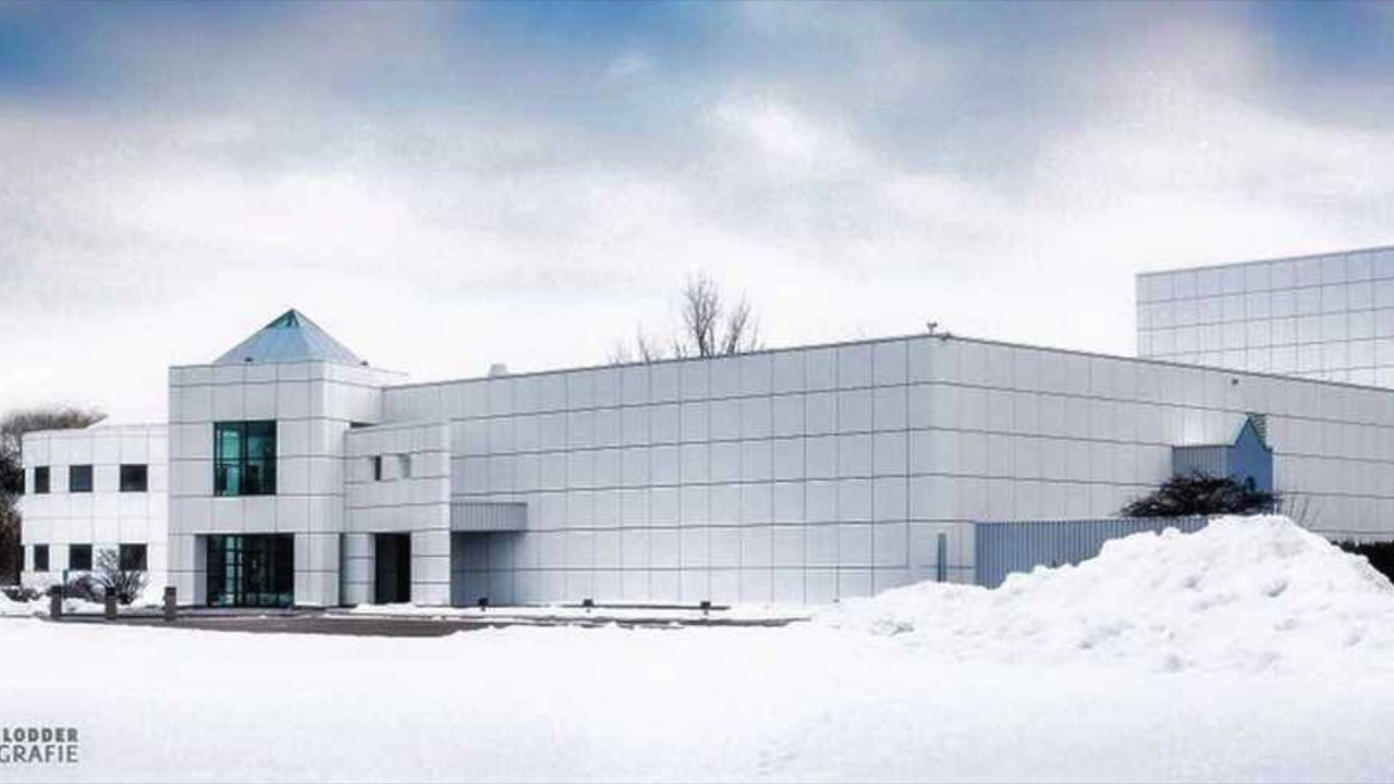 Prince, Black Muse/Girls & Boys/love or $ (Paisley Park, nov 7th 2015)