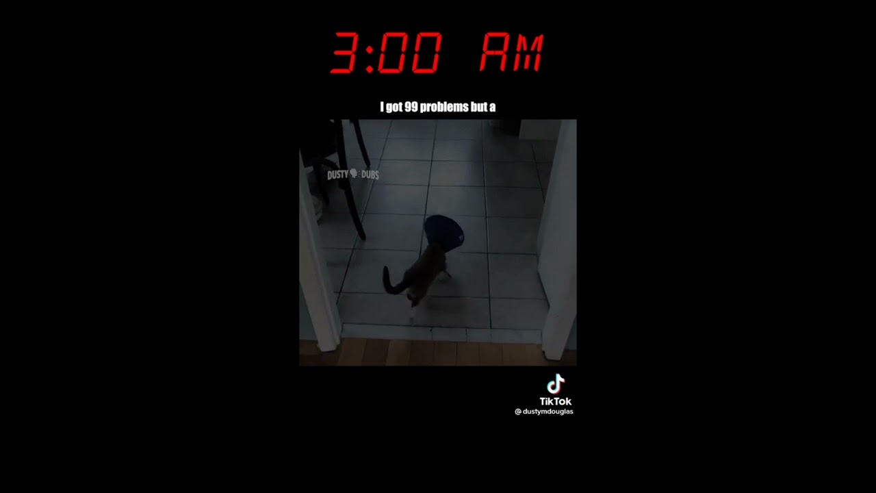 Dustymdouglas tiktok compilation/\Voice Overs