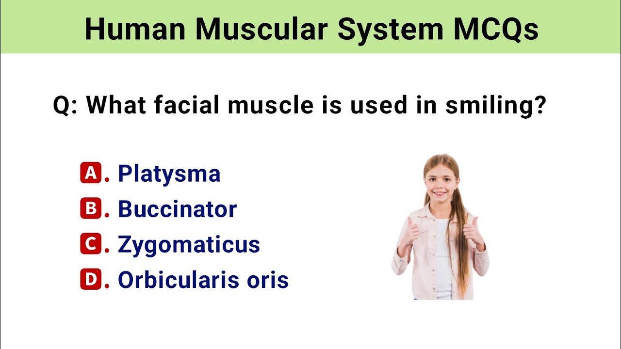 Human Muscular System MCQ | human muscular system questions and answers