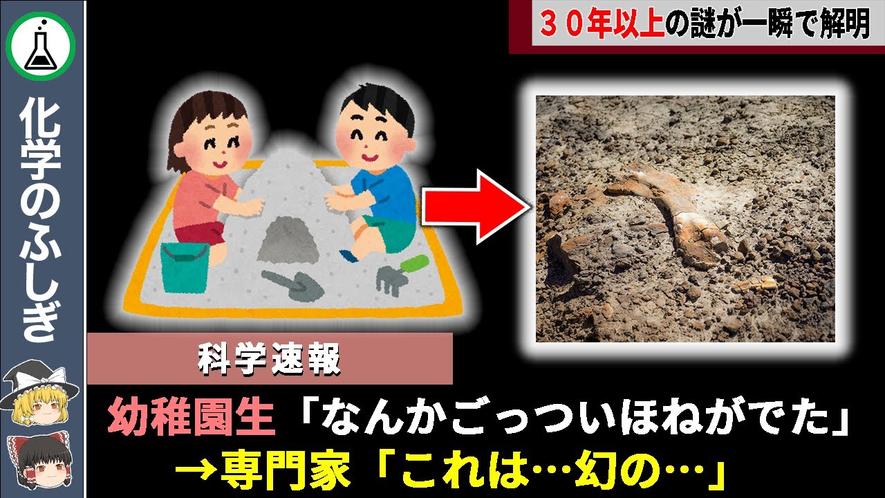 4歳の幼稚園生、30年間 未解明だった伝説の骨を偶然にも見つけ出し一躍スターとなるwww【ゆっくり解説】
