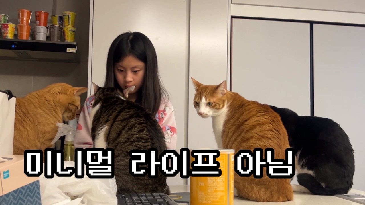 5인 가족, 강아지, 고양이들과 24평  집 넓게 살기