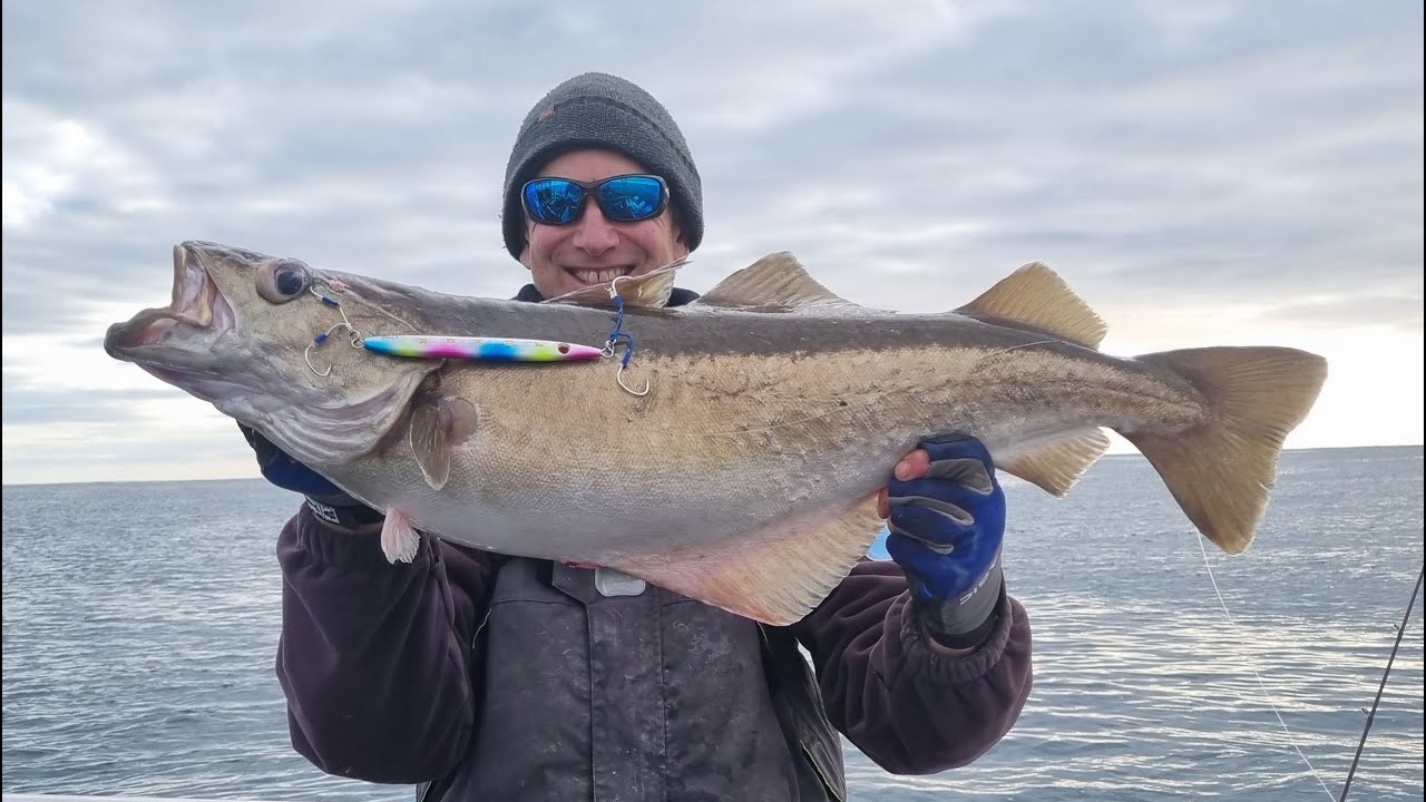 Slow pitch jigging in the UK, catching big pollock onboard Silver Halo with the JOKER Imp jig