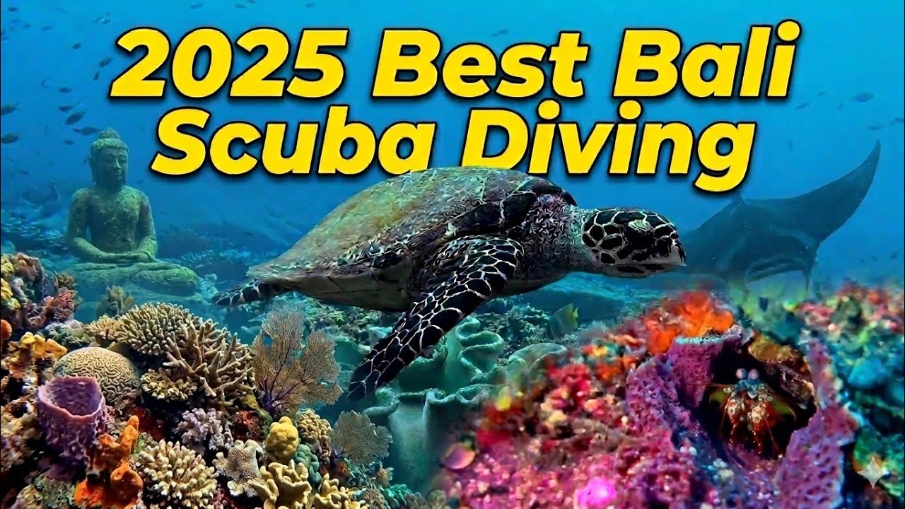 2025 Best Bali Scuba Dive Sites 4K