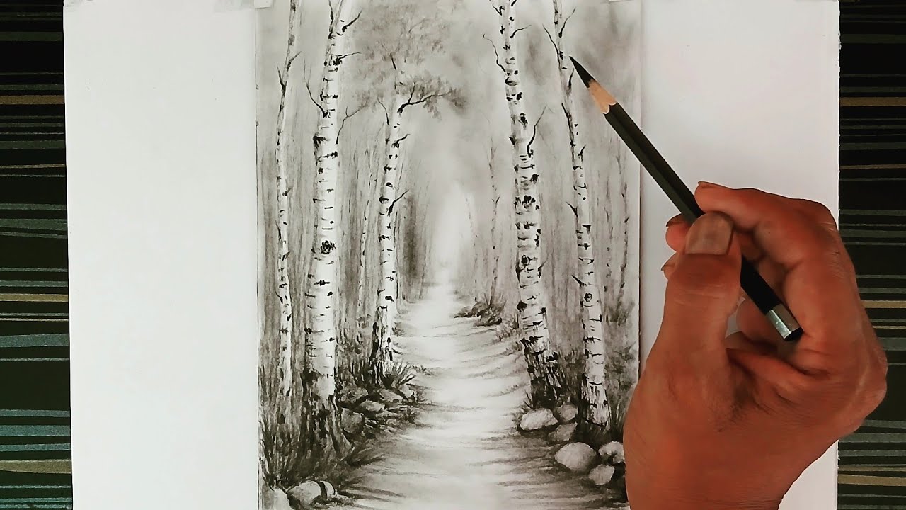 A birch trees landscape scenery drawing by pencil with easy ways.