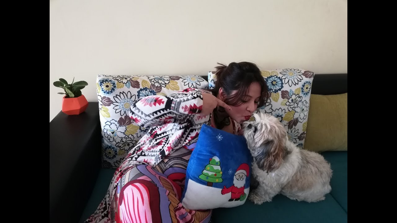 Beginning of a New Journey | Indian Petmom | MommyNFlurry Tale | PAWSOME