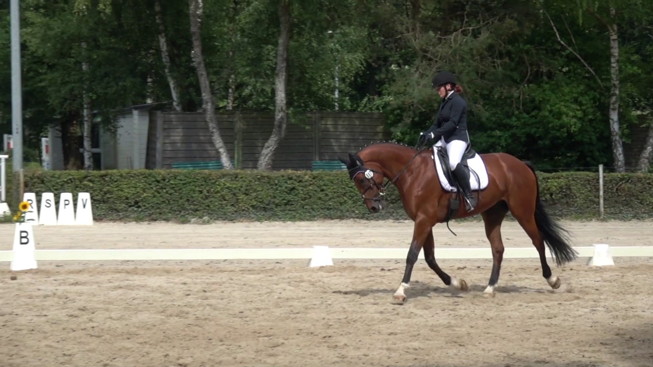 RSG Dressurturnier 22.7.2017  Barbara Thein