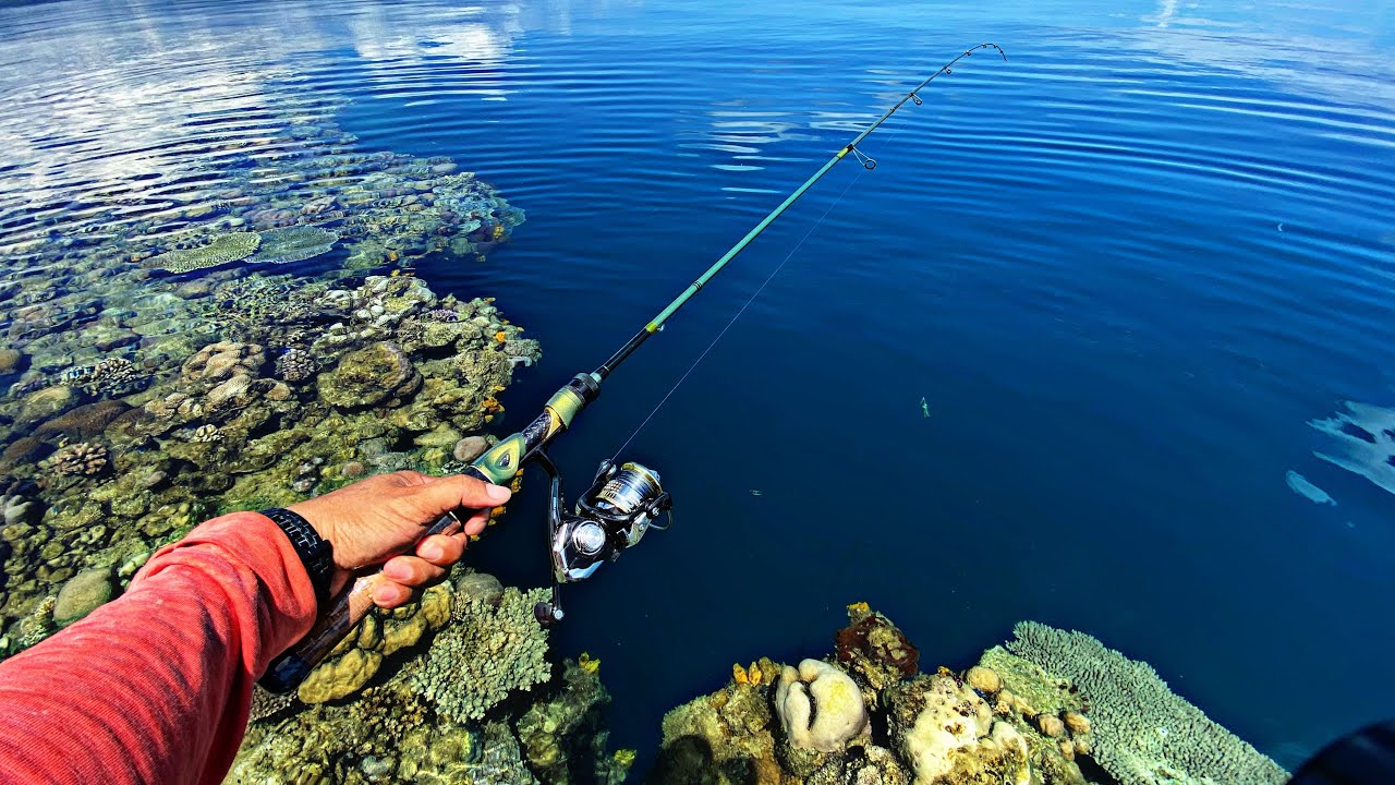 Jernih sekali airnya terlihat jelas ikan memakan umpan | Mancing Ngoyor Landbase Ultralight Jigging