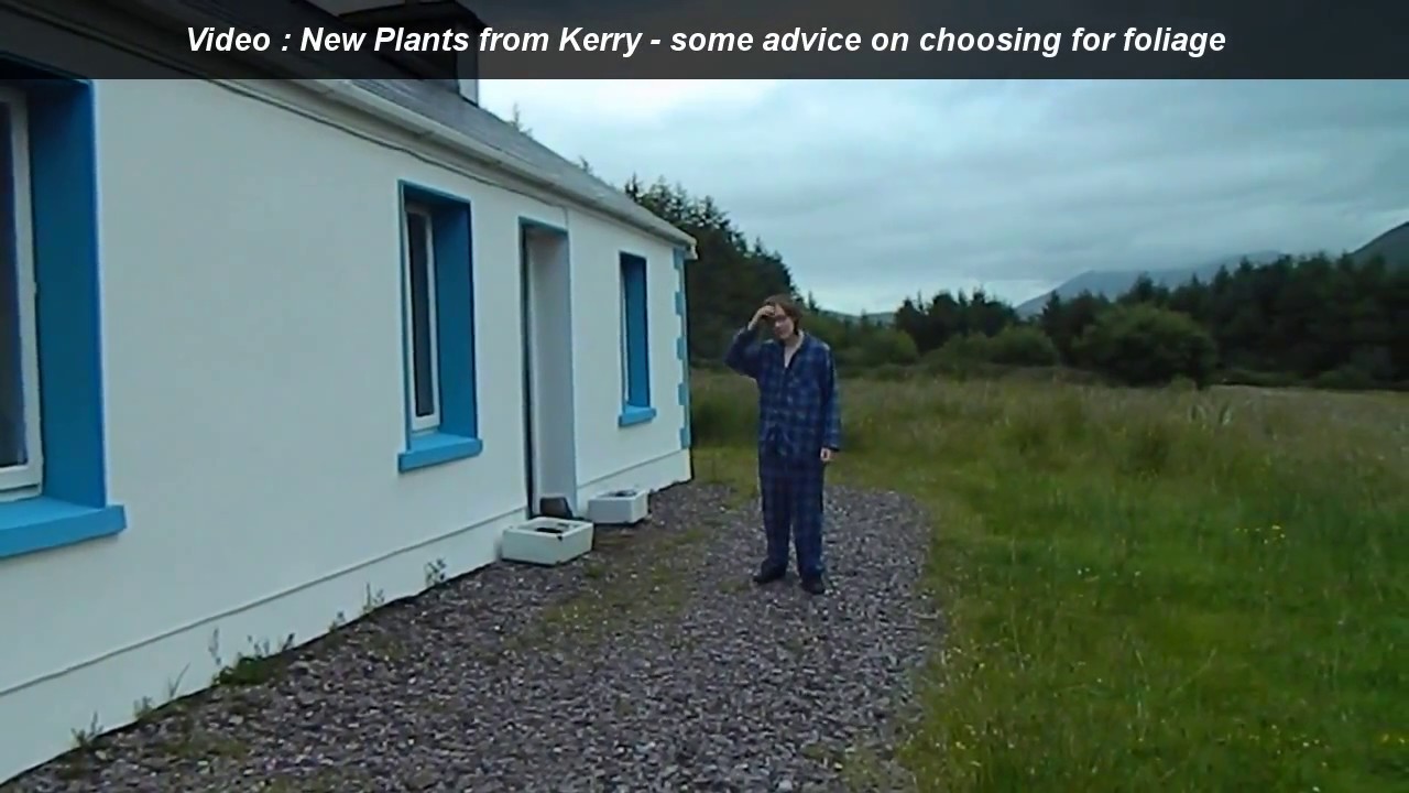 Outtakes 3 - Gardening at Douentza