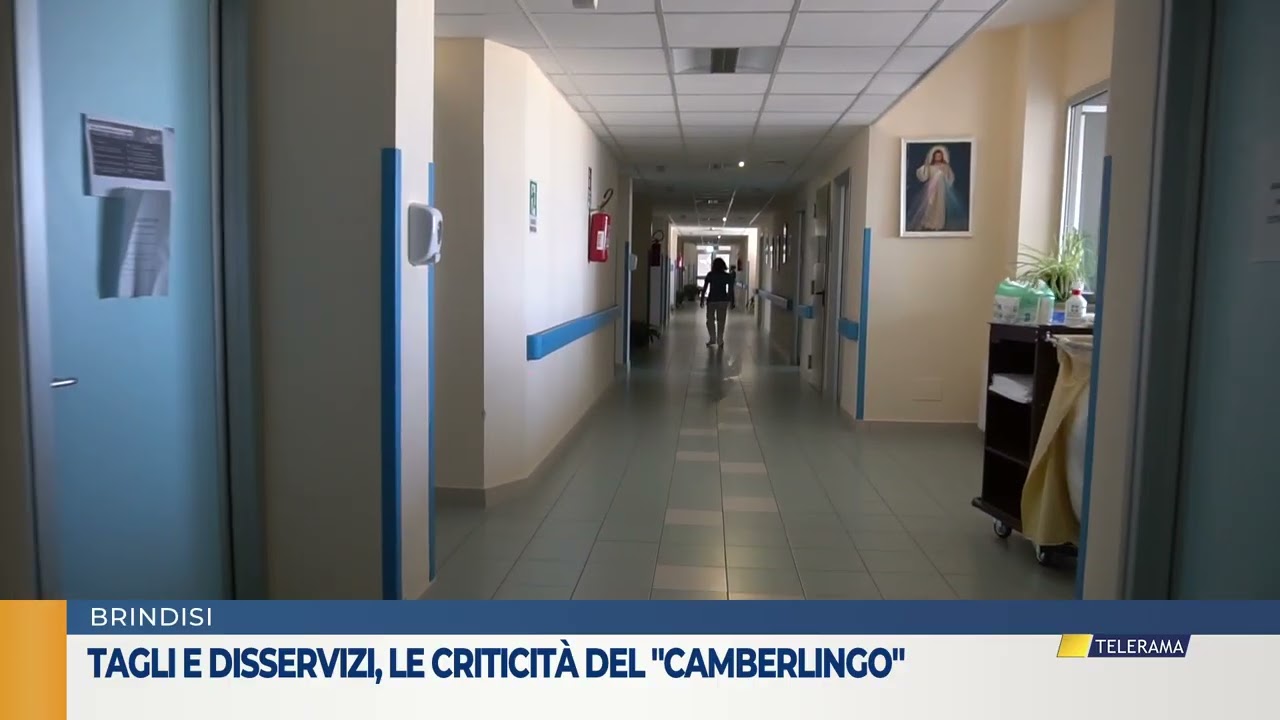 Tagli e disservizi e le criticità del 