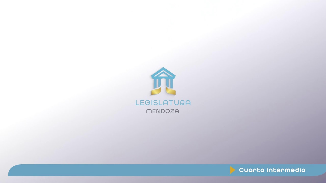 Honorable Cámara de Senadores: sesión de tablas 16/12/2025