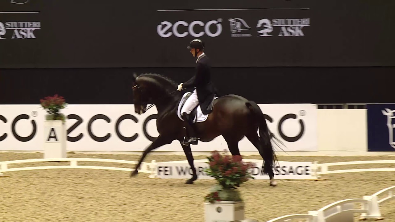 Daniel Bachmann Andersen   Blue Hors Zack