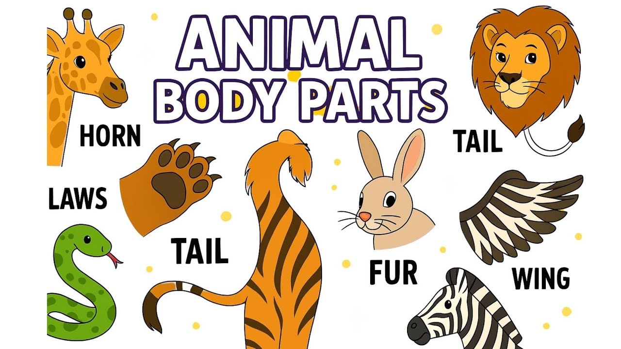 Learn Animal Body Parts! 🐘🦁 Fun Video for Kids with Drawing Activity!