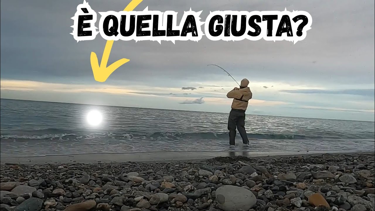 Hai DAVVERO l'ESCA che ti SERVE?