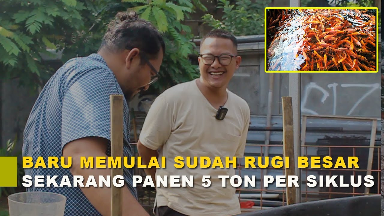 Cerita Sukses Seorang Magister Teknik Sipil Menjadi Pembudidaya Berhasil Panen Hingga 5 Ton