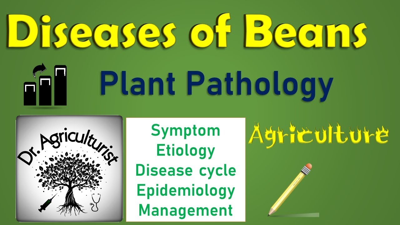 L 17 | Diseases of Beans | Leguminous crop | Mosaic, Anthracnose and Bacterial blight  | Management