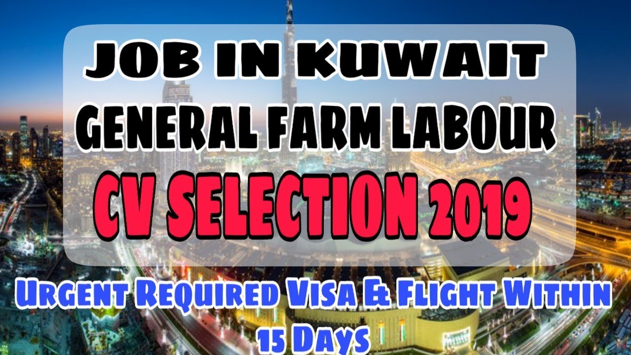 Urgent Required For Kuwait 2019 || Farm Labour Job CV Selection || High Salary Job