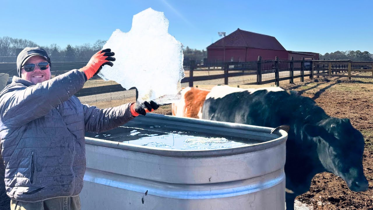 Winter Stock Tank Solutions: Keep Your Water Flowing