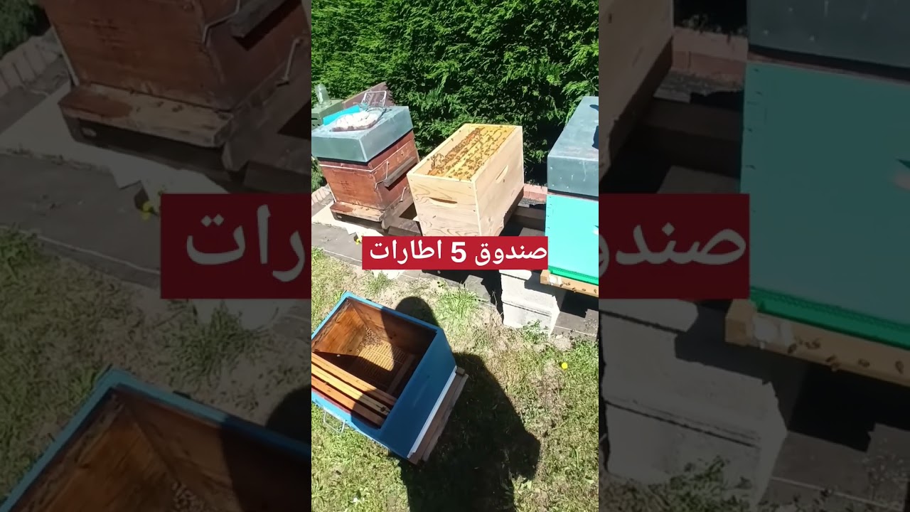 كيف نشتري الطرود في فرنسا وننقل الطرد إلى الخلية الكبير