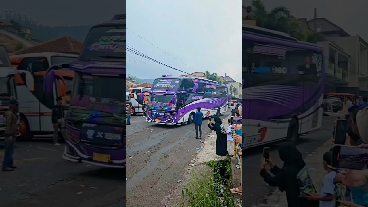 Pesona Bus Artis 👑Ratu Maher👑 Pake nada apa nih cuyy #shorts #busmania #basuri