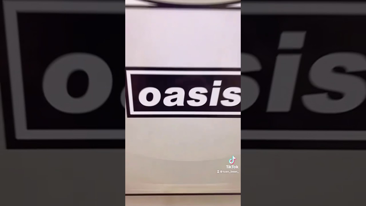 Bearbrick oasis 1000%