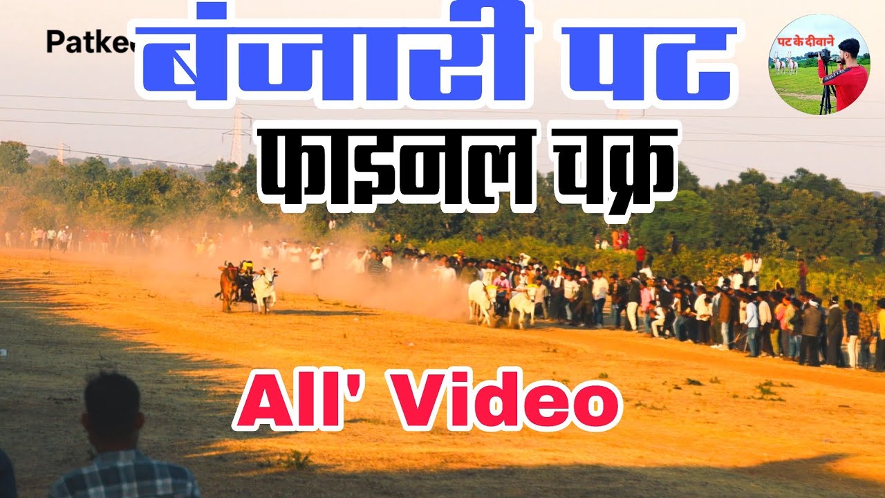 बंजारी पट फाइनल राउंड की सभी वीडियो एक साथ || #viral #cow #bull #ox 