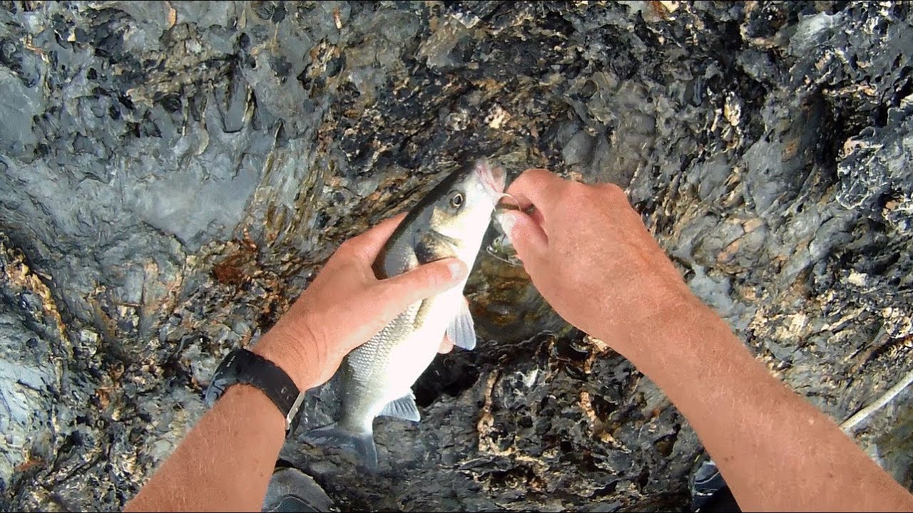 Shore Fishing - ROCK FISHING for Sea BASS with Paddle Tail Lures
