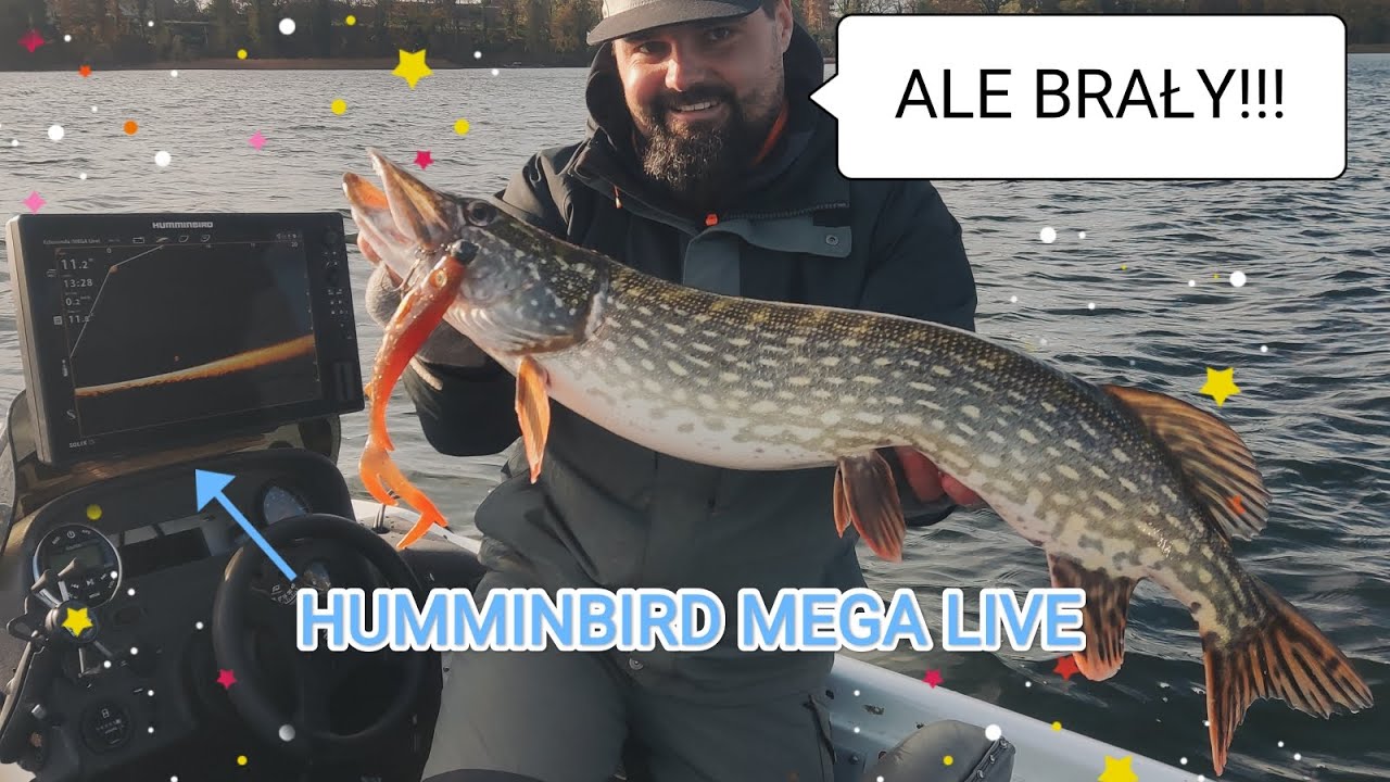 Łowienie DUŻYCH szczupaków na HUMMINBIRD MEGA LIVE - Odprowadzenia, brania, hole, ryby!!