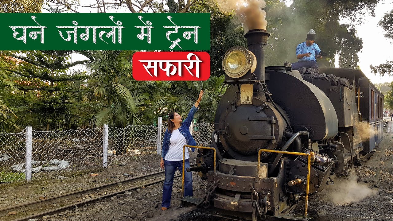 I Booked Entire Heritage Rail Coach For Tea Safari | Siliguri To Rangtong In Steam Jungle Tea Safari