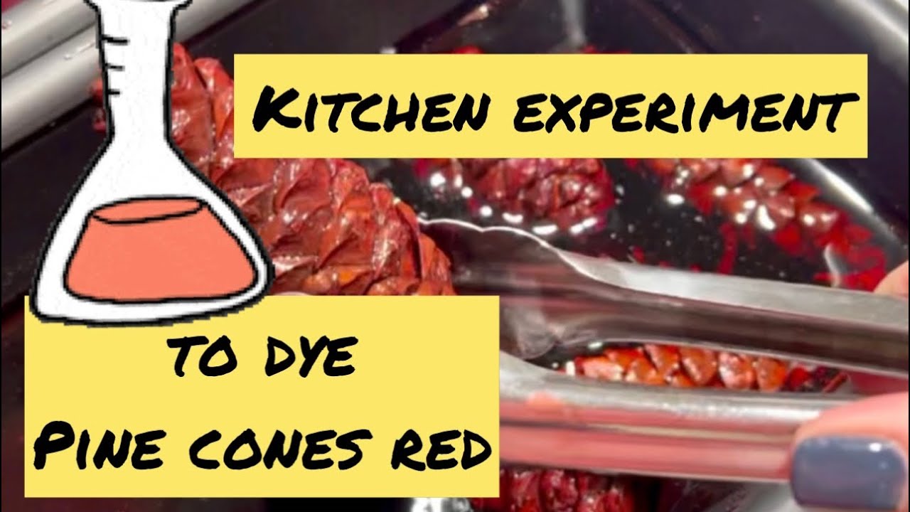 Can you dye pine cones red?