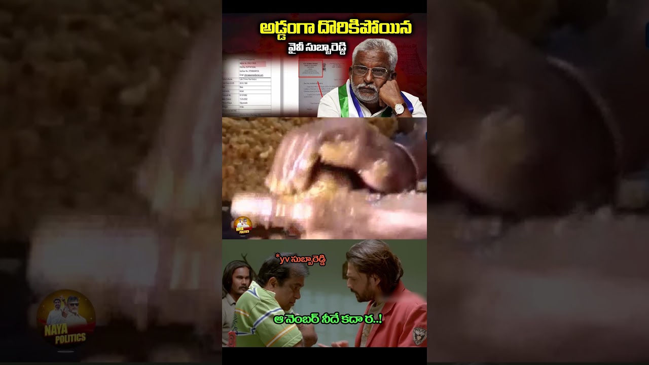ఆ నెంబర్ నీదే కదా ర.#ysjagan #ysrcp #yvsubbareddy #viralshort #tdp #cbn #ap #ytviral #troll #comedy