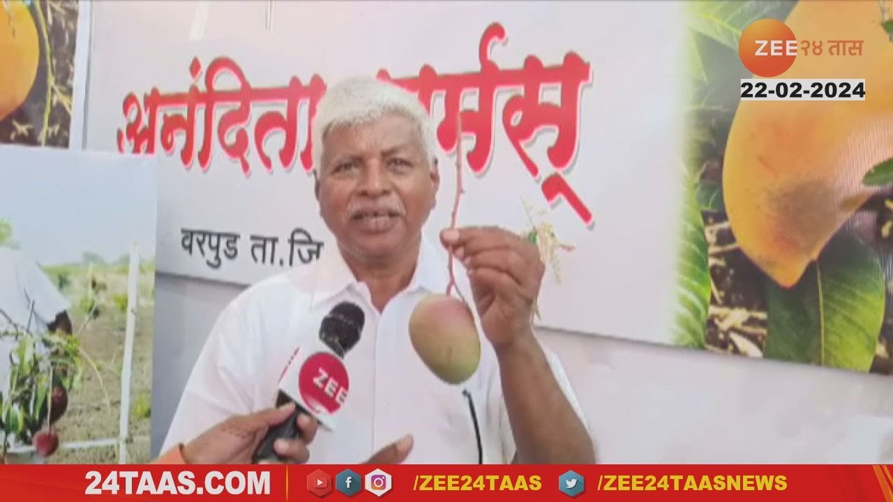 Expensive Mango | अबब! 2 लाख 40 हजार रुपये किलोचा आंबा; पाहा व्हिडीओ