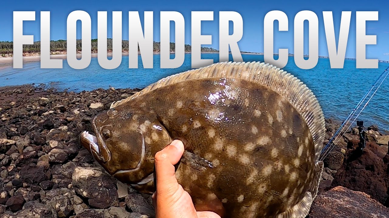 FLOUNDER COVE : 1 YEAR LATER - Jacksonville Shore Fishing