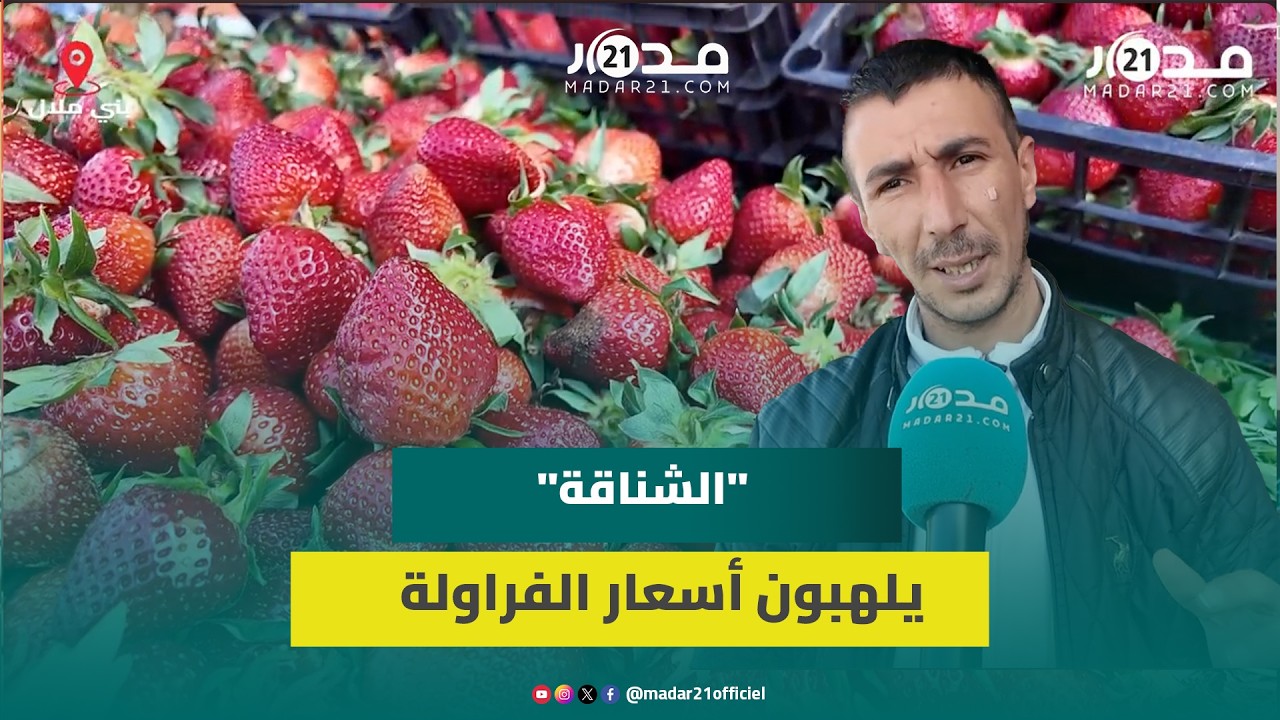 مهنيون يفسرون أسباب غلاء الفراولة ويتهمون 